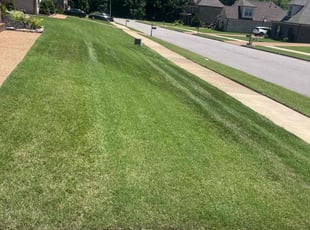 Tamarra G.'s yard service service result