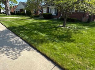 Elanah A.'s grass maintenance service result