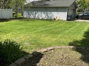 Ivelise R.'s grass cutting service result