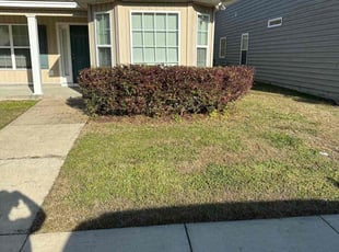 Frederick H.'s Bush Trimming service result