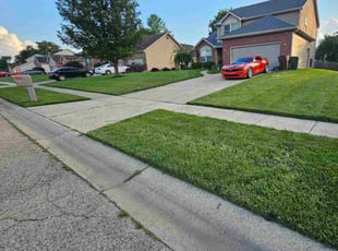 Jacob N.'s grass cutting service result