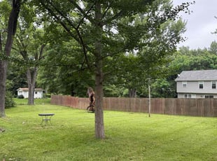 Robert T.'s lawn care service result