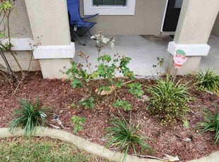 Bonnie P.'s lawn care services service result