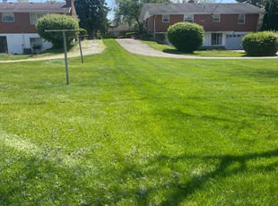 Marilyn P.'s lawn care services service result