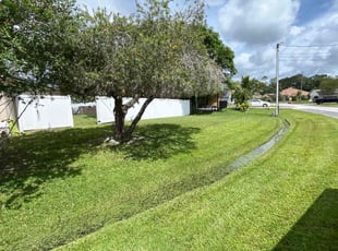 Demetrios H.'s turf care service result