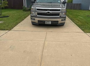 Susan M.'s turf care service result