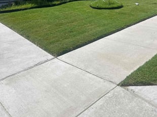Pamela C.'s lawn maintenance service result