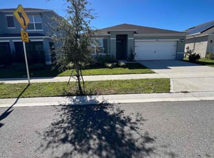 Todd E.'s lawn care services service result