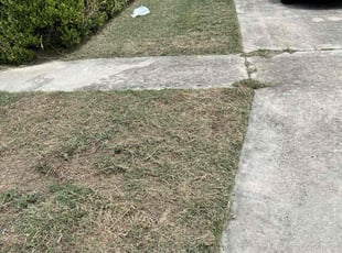 Scott W.'s lawn care services service result
