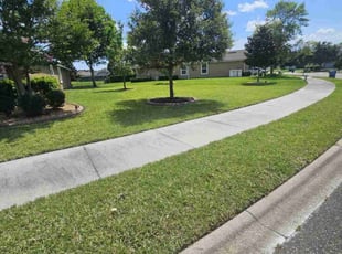 Travis H.'s lawn service service result