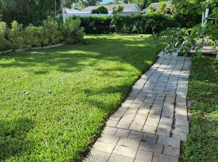 Carol R.'s turf care service result