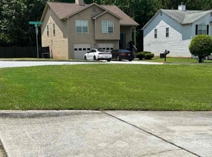Marcela M.'s grass maintenance service result