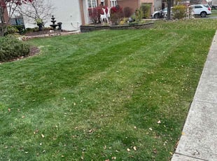 Richard D.'s lawn service service result