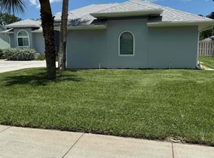 Lindsay F.'s lawn care service result