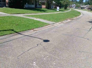 Diana N.'s turf care service result