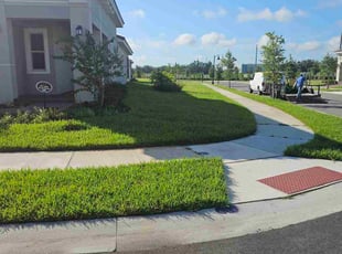 Camillia N.'s grass cutting service result