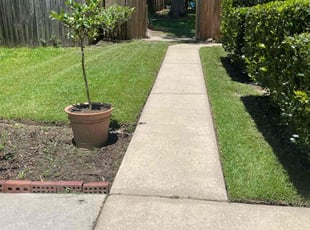 Chris H.'s lawn maintenance service result