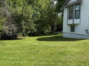 Kate S.'s residential landscaping service result