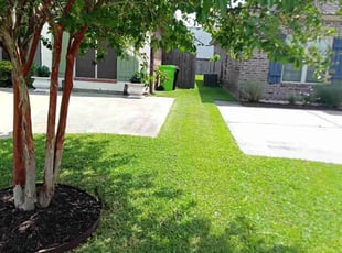 Maleka G.'s lawn care service result
