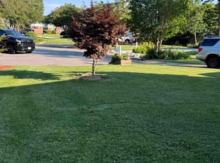 Nathalie V.'s lawn service service result
