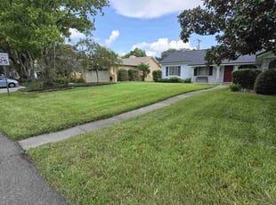 Roberto G.'s turf maintenance service result