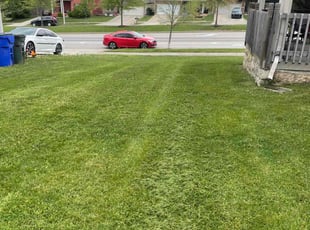 RAVON G.'s lawn care services service result