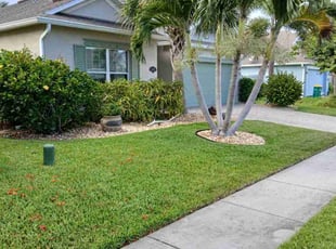Pattie T.'s lawn care service result
