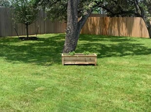 Melissa C.'s lawn maintenance service result