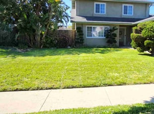 Karen B.'s lawn care services service result