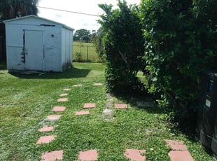 Shelia M.'s Bush Trimming service result