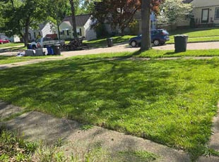 Tomas R.'s lawn service service result