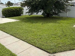 Elizabeth Y.'s lawn care service result