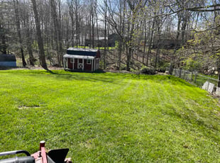 Philip O.'s lawn care services service result