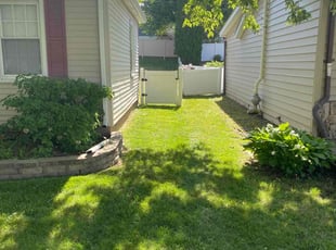 Philip W.'s lawn care service result