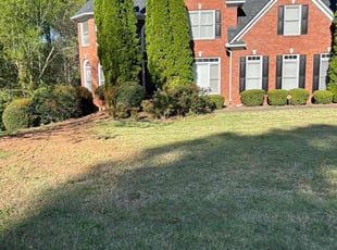 Mark J.'s turf maintenance service result