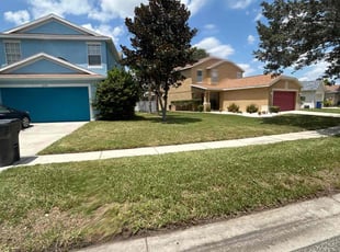ADAM F.'s grass maintenance service result