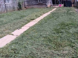 Sophia M.'s grass maintenance service result