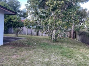 Oscar Z.'s grass maintenance service result