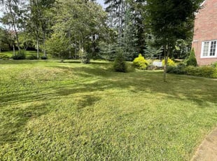 Gene W.'s lawn service service result