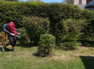 Grant J.'s Bush Trimming service result