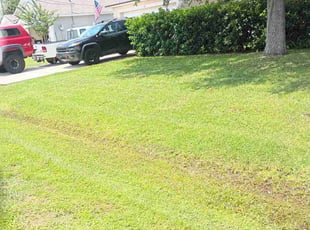 Ramona W.'s turf care service result
