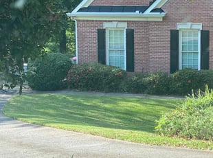 Hillary M.'s lawn service service result