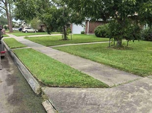 Erica B.'s turf maintenance service result