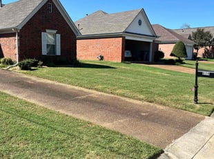 Jeron L.'s grass maintenance service result