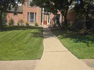 Betty W.'s lawn care service result
