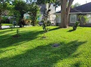 Rita D.'s lawn care services service result