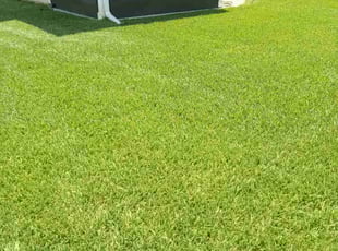 Marta M.'s turf maintenance service result