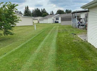 Rob D.'s lawn maintenance service result