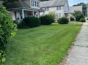 Rebecca D.'s lawn maintenance service result