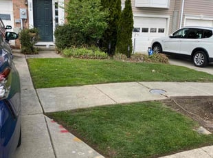 Jeannette T.'s turf maintenance service result